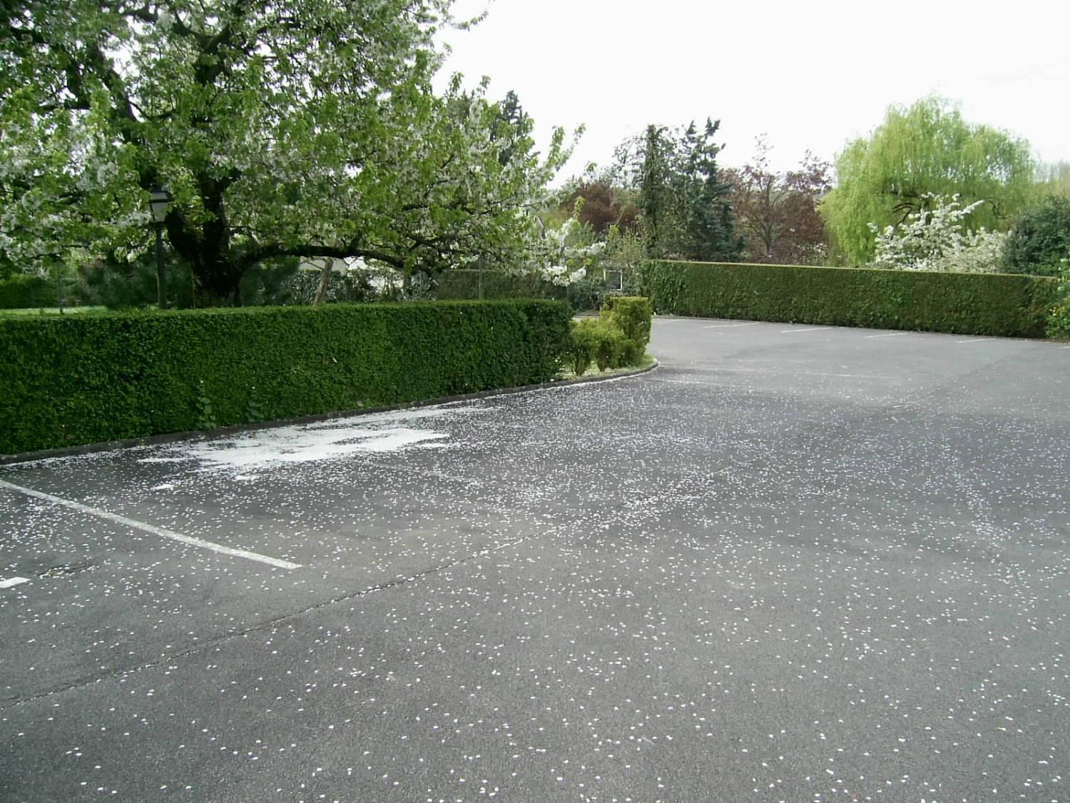 Belvedere Montargis Amilly Exterior photo